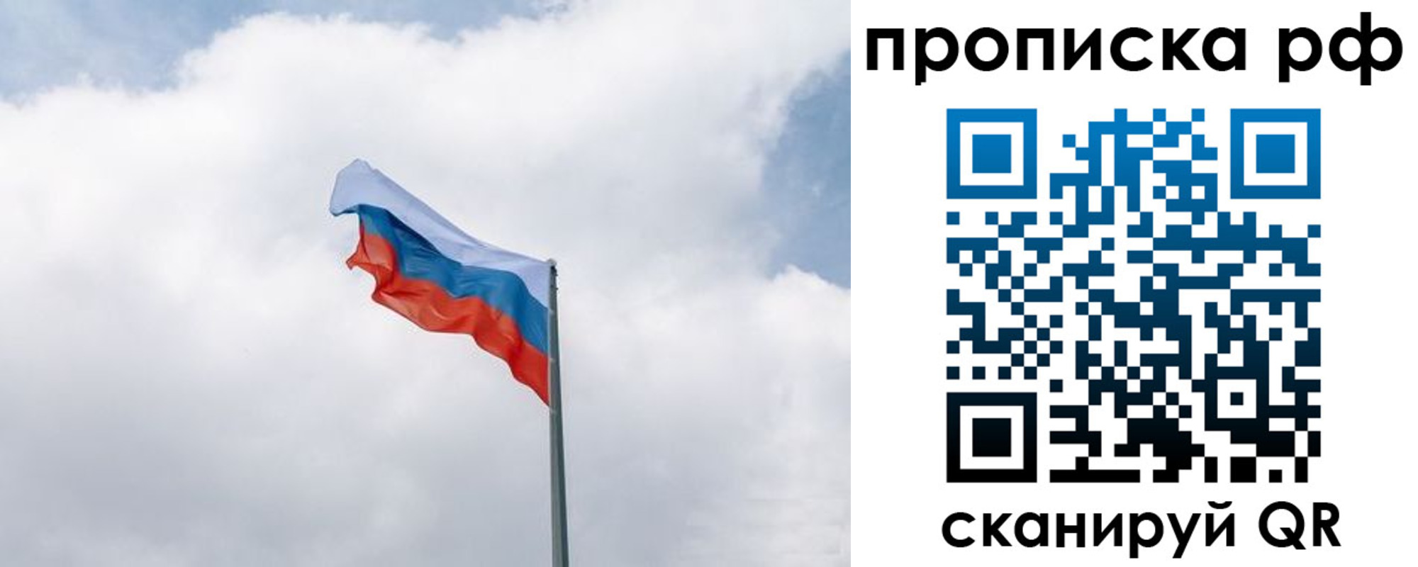прописка гарантия в Фрязино